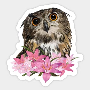 Royal Owl Sticker